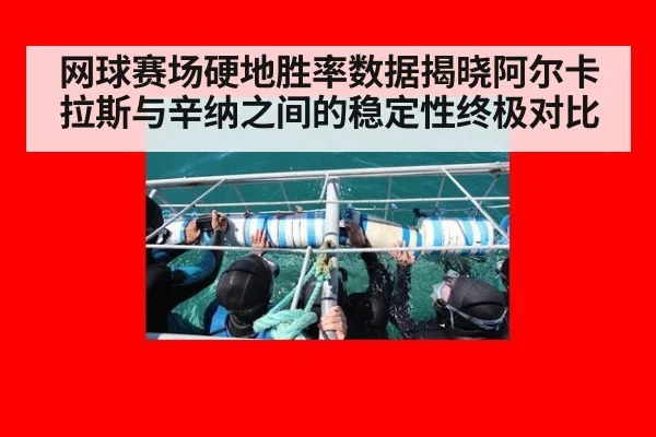 网球赛场硬地胜率数据揭晓阿尔卡拉斯与辛纳之间的稳定性终极对比